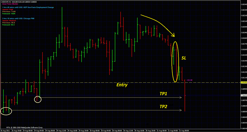 Forex Chief