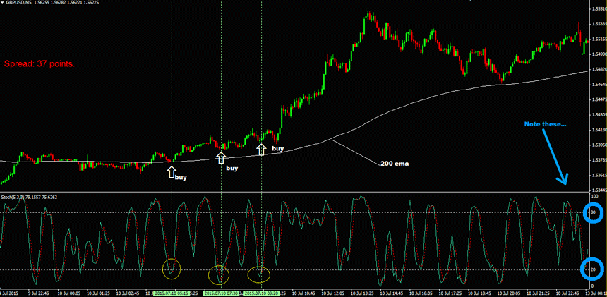 Forex Chief