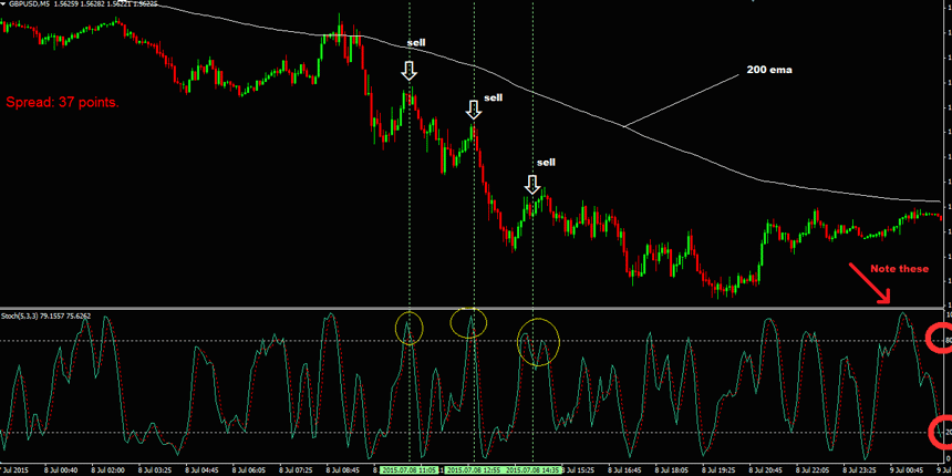 Forex Chief