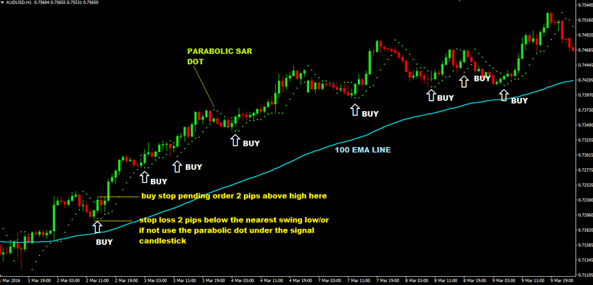 Forex Chief